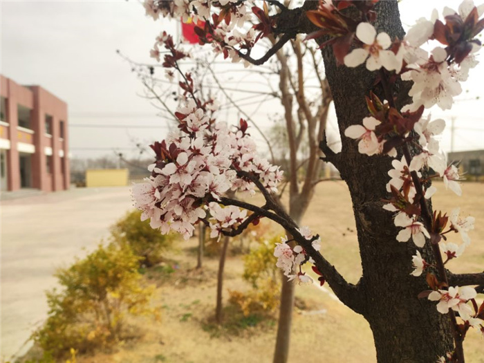 QQ图片20230321105443.jpg