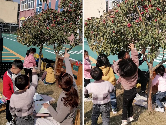 图2.jpg