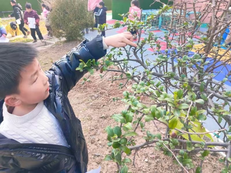 微信图片_202502181313011.jpg 微信图片_202502181313011.jpg