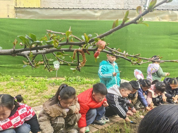 微信图片_20250312143717.jpg