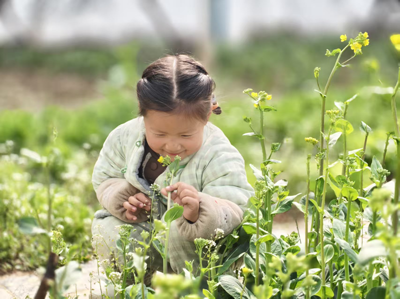 春分寻趣·润德童心——新沂市窑湾镇中心幼儿园开展春分节气主题活动