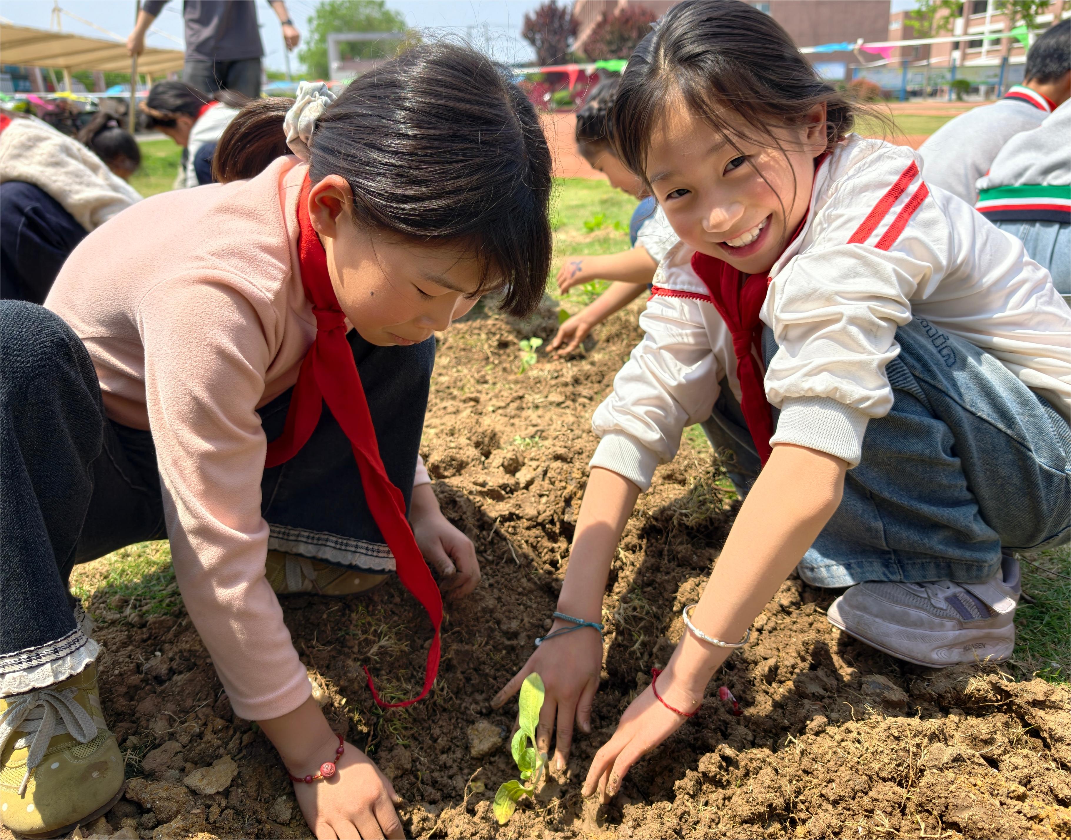 “大·美”德育润童心 向阳种植践成长——新沂市双塘镇中心小学开展实践种植活动