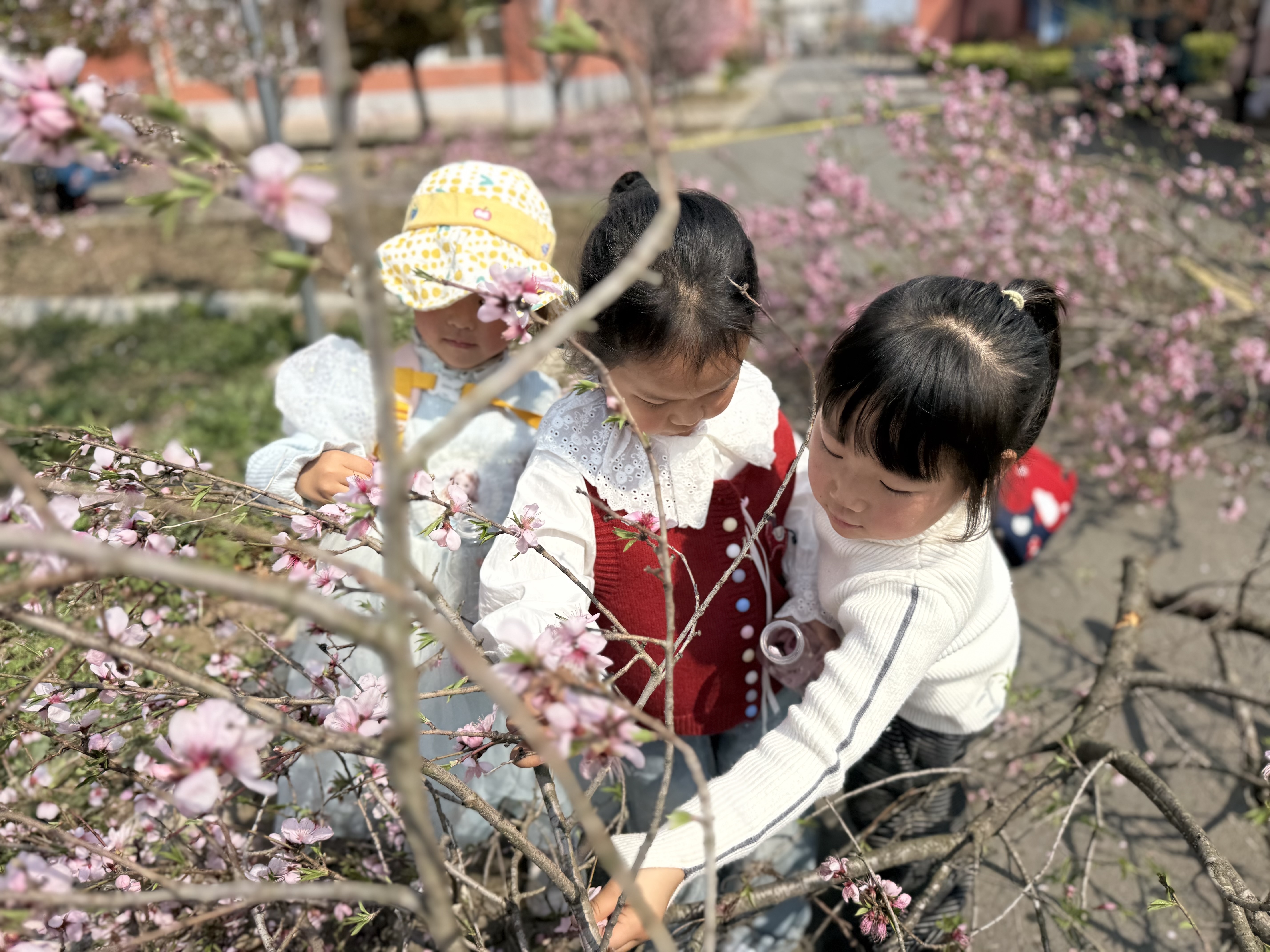 春风拾趣，童心觅春意——时集镇中心幼儿园春日户外实践活动