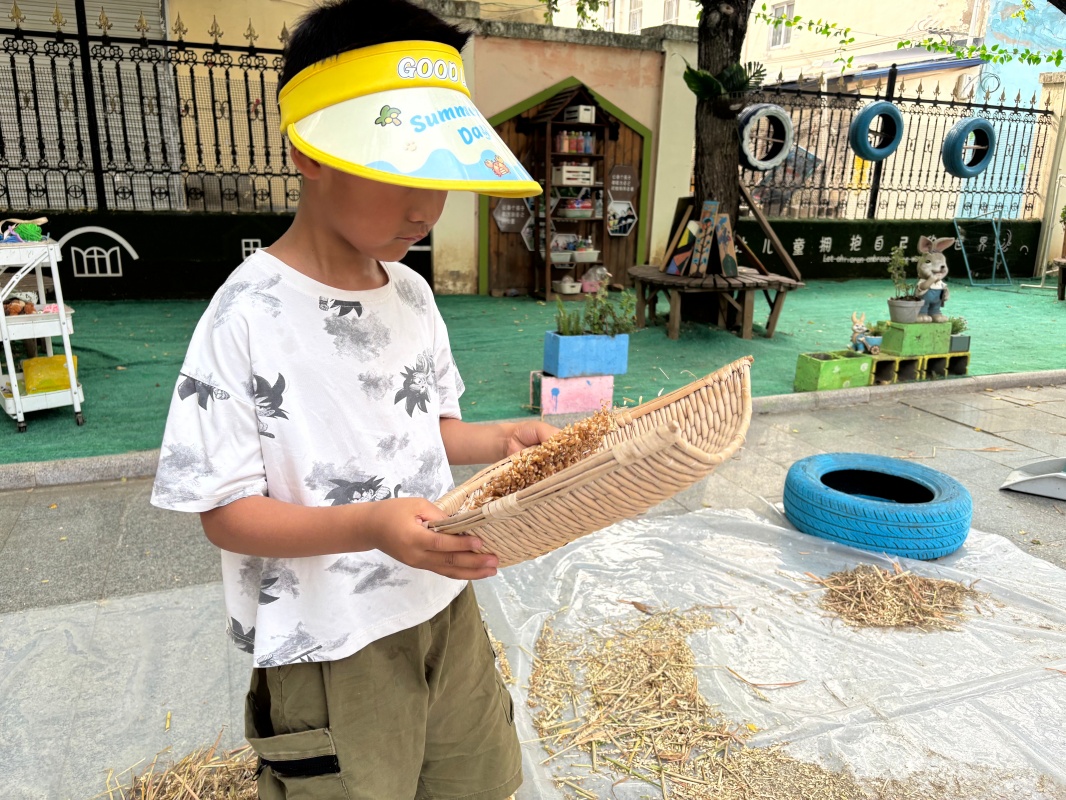 拾穗寻香，收获成长 ——邵店镇中心幼儿园劳动实践活动
